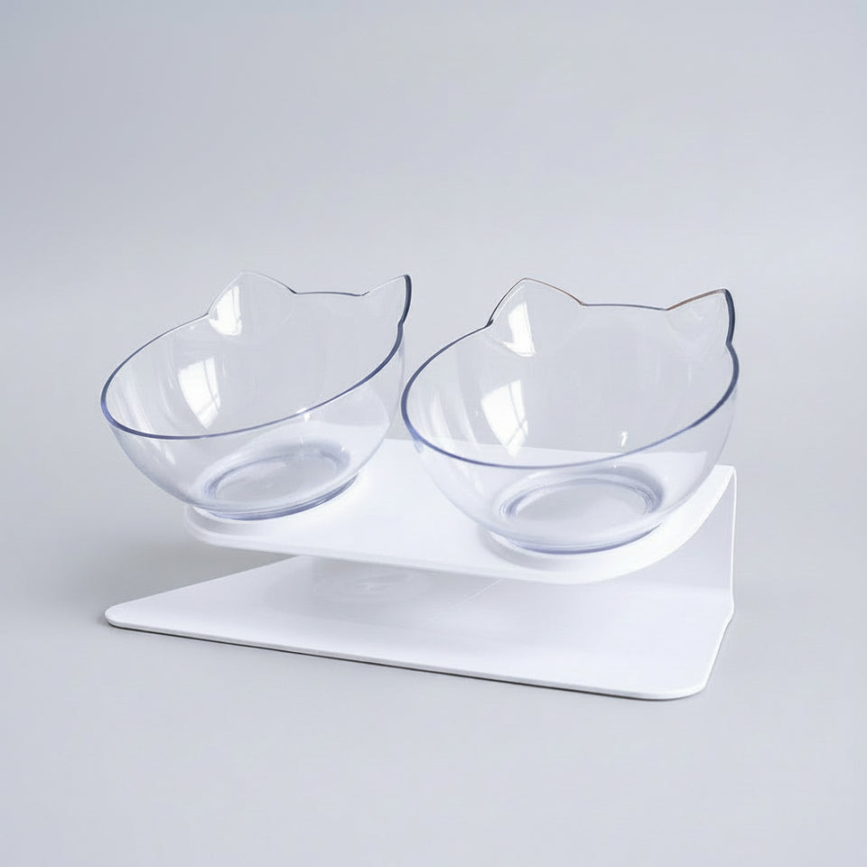 Angled cat feeding bowl for easier food and water access