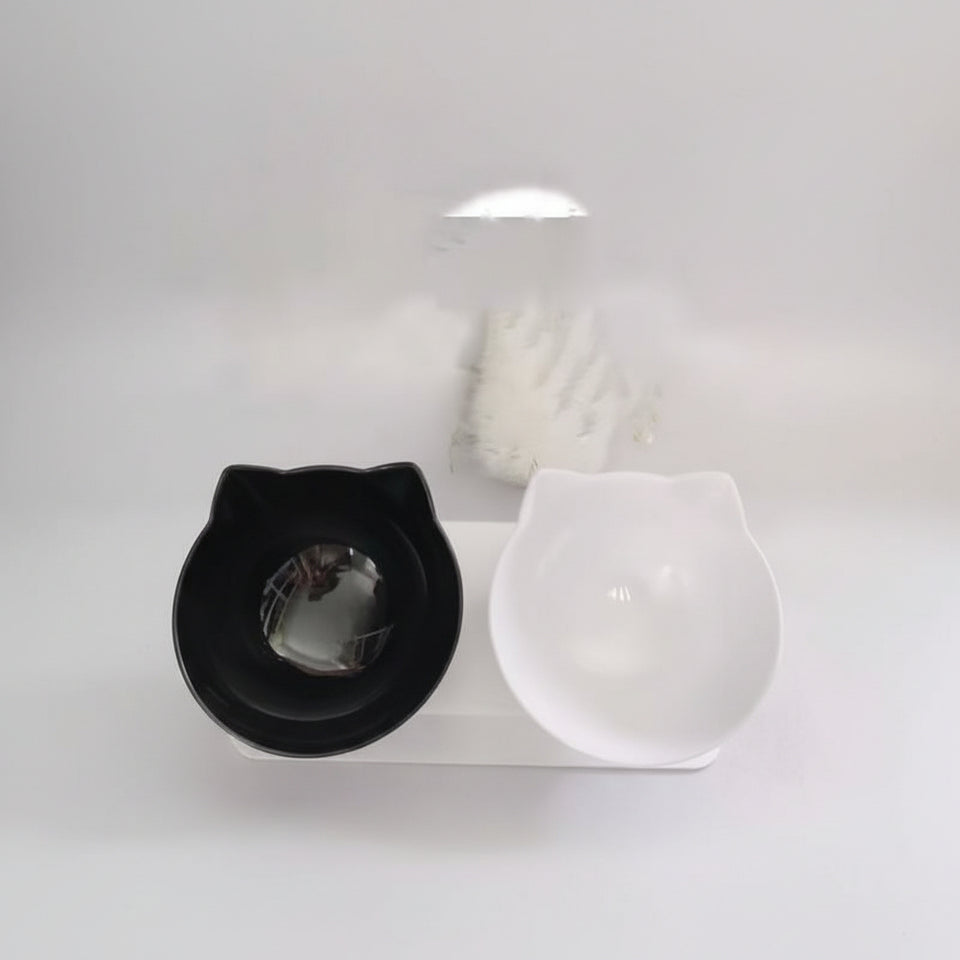 Comfortable angled cat feeder for easier everyday mealtimes