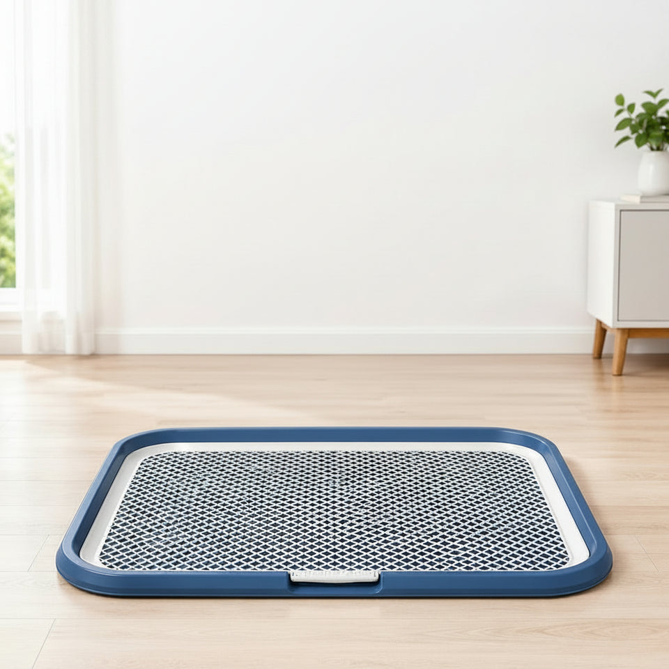 Indoor dog potty tray with removable grate