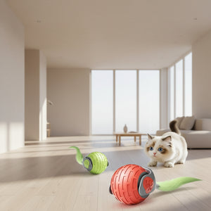 Interactive automatic rolling cat toy ball for indoor cats