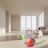 Interactive automatic rolling cat toy ball for indoor cats