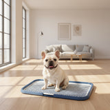 Puppy indoor toilet tray for convenient potty training