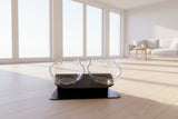 Raised cat food bowl with a 15-degree angled feeding design